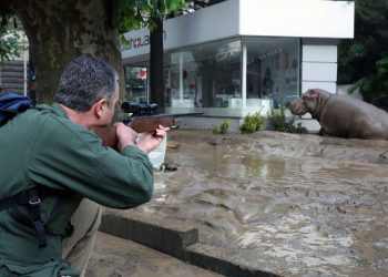 Φονικές πλημμύρες στην Τιφλίδα και απόδραση άγριων ζώων