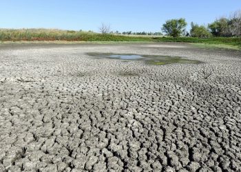 Ρουμανία: Ιερείς και πιστοί προσεύχονται για να βρέξει!