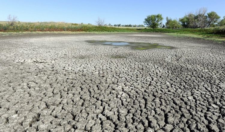 Ρουμανία: Ιερείς και πιστοί προσεύχονται για να βρέξει!