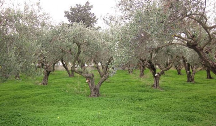 Κατάρτιση για τη χρήση φυτοφαρμάκων