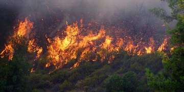 Υπό μερικό έλεγχο η πυρκαγιά στη Μικροκώμη του Δήμου Βόλβης 7