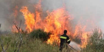 Καίει ακόμα η φωτιά στο Ακόντιο Βοιωτίας