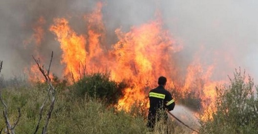 Καίει ακόμα η φωτιά στο Ακόντιο Βοιωτίας