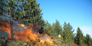 Καίει ακόμα η φωτιά στην Κόρινθο (φωτο)