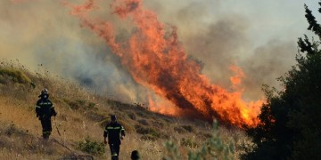 Πυρκαγιά στο Αγρίδι Ηλείας 2