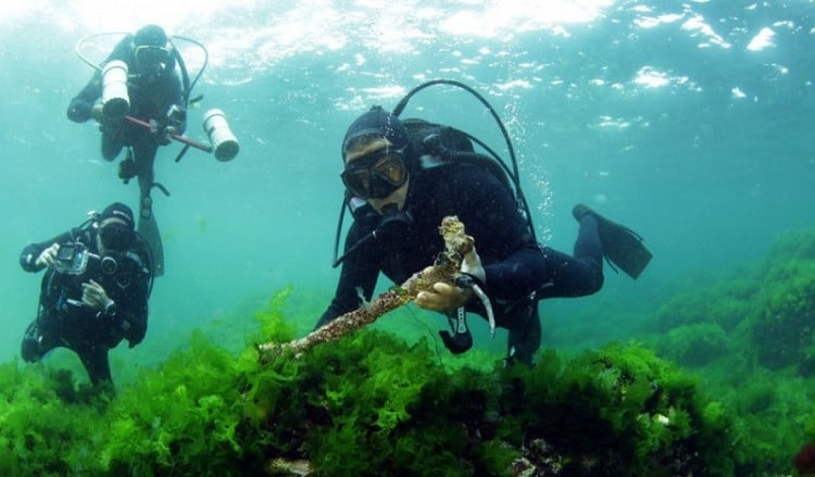 Η 10η χαμένη Πριγκηπόννησος, η νήσος Βόρδωνες, αποκαλύπτεται (φωτο-βίντεο)