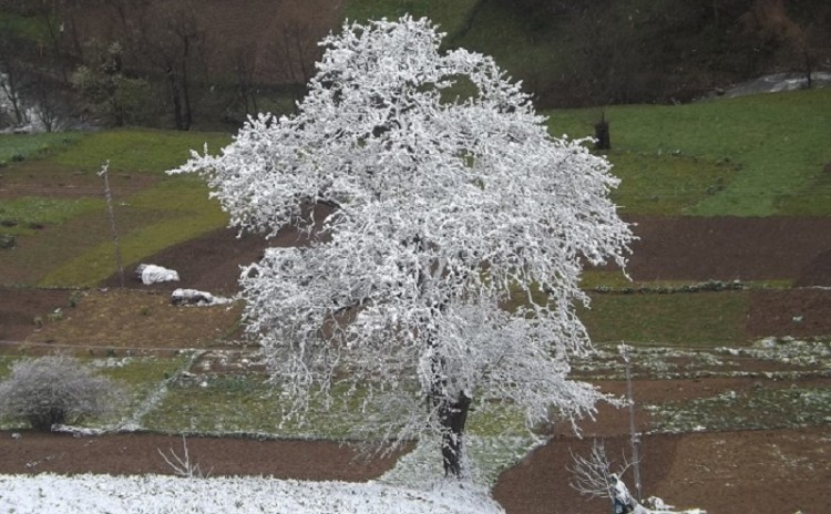 Μια βόλτα στην Άνω Όκενα της Τραπεζούντας, παρέα με ντόπιο, Πόντιο ξεναγό (φωτο)