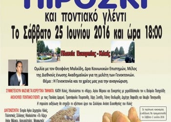 Διαγωνισμός πιροσκί από τον Πολιτιστικό Σύλλογο Ευκαρπίας-Κιλκίς - Cover Image