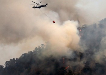 Φωτιά στην περιοχή Τσίπιανα Αρχαίας Ολυμπίας 3