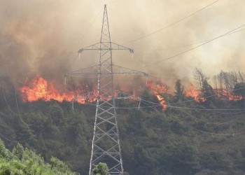 Φωτιά στην περιοχή Τσίπιανα Αρχαίας Ολυμπίας 4