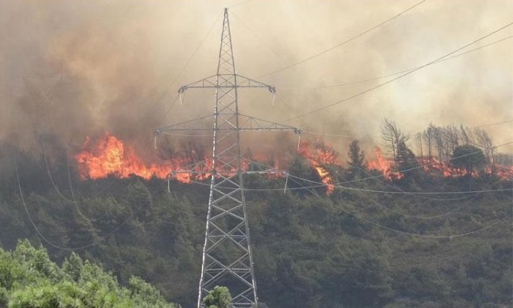 Φωτιά στην περιοχή Τσίπιανα Αρχαίας Ολυμπίας 4