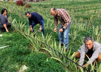 Ενίσχυση έως 22.000 ευρώ για 12.000 νέους αγρότες και κτηνοτρόφους