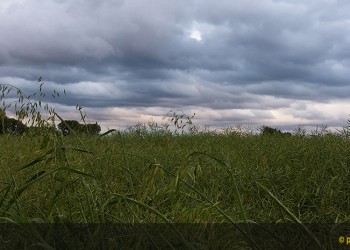 Με την «κουσκουβάρα» αντιμετώπιζαν την ξηρασία στον Πόντο – Ένα ιδιαίτερο ποντιακό έθιμο - Cover Image