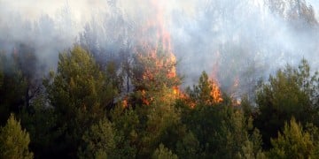 Φωτιά στην Αισύμη Έβρου – Ενισχύθηκαν οι πυροσβεστικές δυνάμεις