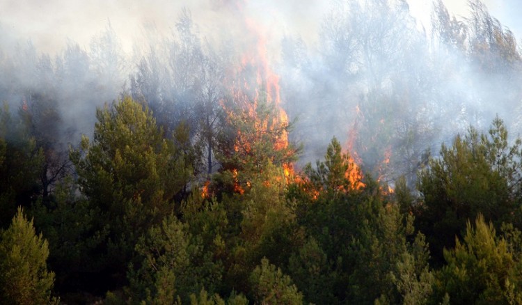 Φωτιά στην Αισύμη Έβρου – Ενισχύθηκαν οι πυροσβεστικές δυνάμεις