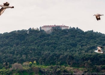 (Φωτ.: Γιώργος Ζαφειρόπουλος)