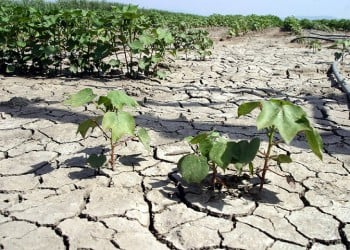 Η Μεσόγειος και η νότια Ευρώπη κινδυνεύουν από ξηρασία!