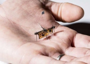 Πέταξε το Robofly, το πρώτο ασύρματο ρομποτικό έντομο!