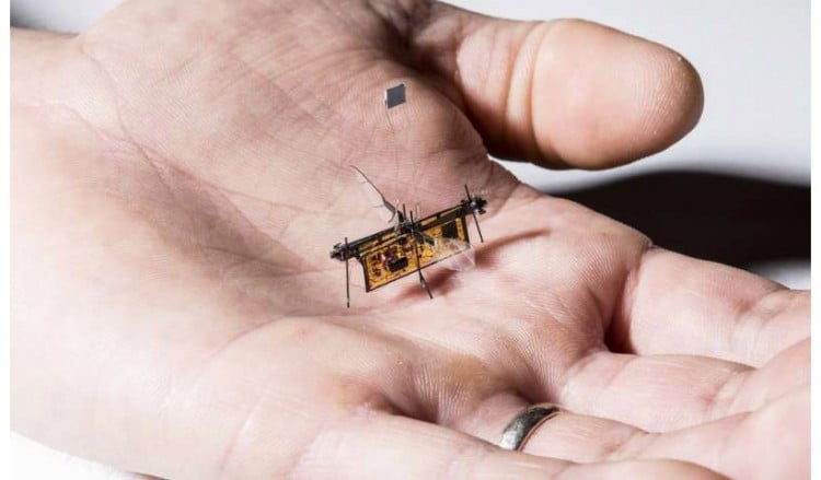 Πέταξε το Robofly, το πρώτο ασύρματο ρομποτικό έντομο!