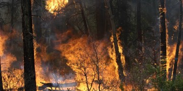 Φωτιές σε Μεσσηνία και Κέρκυρα 4