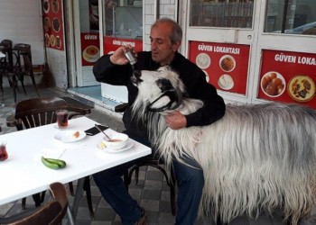 Πανικός σε καφέ στην Κωνσταντινούπολη με πρωταγωνίστρια μια κατσίκα!