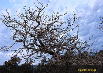 Η ανθρωπότητα εξάντλησε ήδη τους πόρους του πλανήτη για φέτος