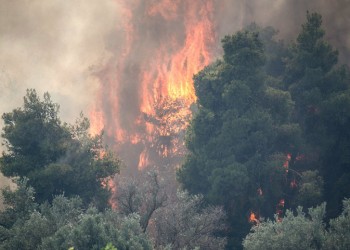 Οι φωτιές και οι επενδύσεις