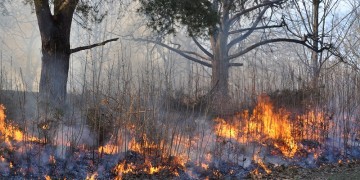 Φωτιά στα Παλιάμπελα Βόνιτσας 2