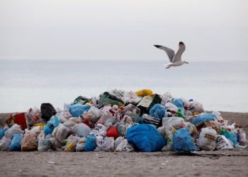 Πόσο φαγητό πετά την ημέρα ο μέσος άνθρωπος