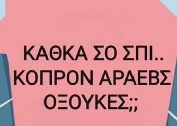 Η γραία Άννα δίνει ξεκαρδιστικές συμβουλές στην ποντιακή διάλεκτο για τον κορονοϊό (βίντεο)