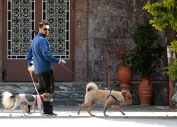 Μην απολυμαίνετε τους σκύλους και τις γάτες με χλωρίνη και υδροαλκοολικά τζελ