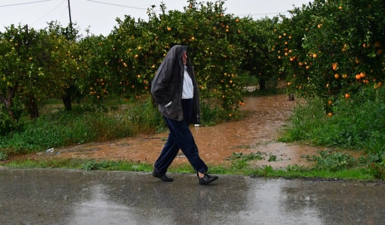 (Φωτ.: ΑΠΕ-ΜΠΕ / Ευάγγελος Μπουγιώτης)