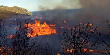 Υπό μερικό έλεγχο η πυρκαγιά στη Μικροκώμη του Δήμου Βόλβης