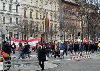 Διαδηλωτές στο κέντρο της Βιέννης κατά του lockdown (πηγή: Twitter / onlytingting)