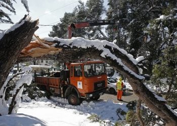 Μέλη συνεργείων αποκατάστασης βλαβών της ΔΕΔΔΗΕ και του Πυροσβεστικού Σώματος επιχειρούν σε περιοχή της Εκάλης, μετά από την κακοκαιρία «Μήδεια» (φωτ.: ΑΠΕ-ΜΠΕ / Αλέξανδρος Βλάχος)