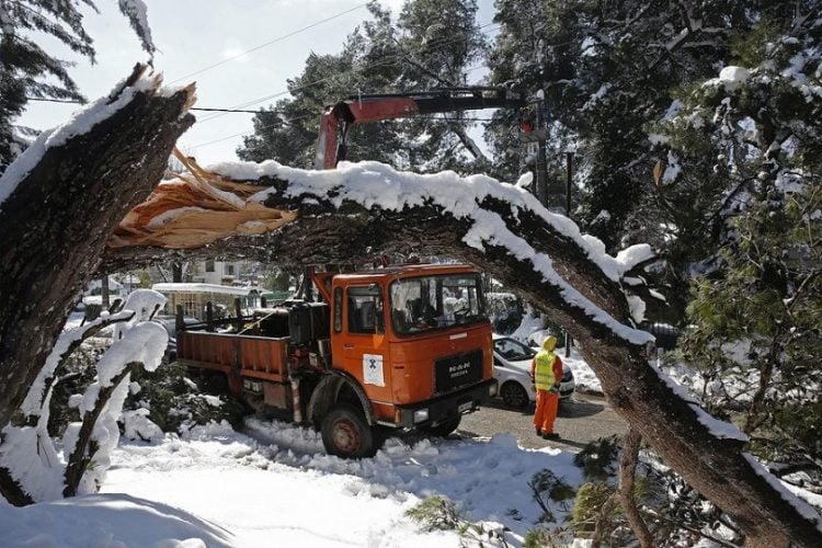 Μέλη συνεργείων αποκατάστασης βλαβών της ΔΕΔΔΗΕ και του Πυροσβεστικού Σώματος επιχειρούν σε περιοχή της Εκάλης, μετά από την κακοκαιρία «Μήδεια» (φωτ.: ΑΠΕ-ΜΠΕ / Αλέξανδρος Βλάχος)