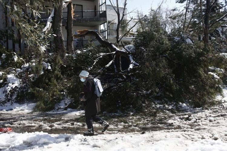 Γυναίκα περνά μπροστά από πεσμένο δέντρο στην περιοχή της Κηφισιάς (φωτ.: ΑΠΕ-ΜΠΕ/ Γιάννης Κολεσίδης)