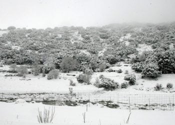 (Φωτ.: ΑΠΕ-ΜΠΕ/Στέφανος Ραπάνης)