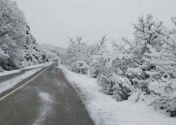 (Φωτ.: ΑΠΕ-ΜΠΕ / Γιώργος Παλαμιώτης)