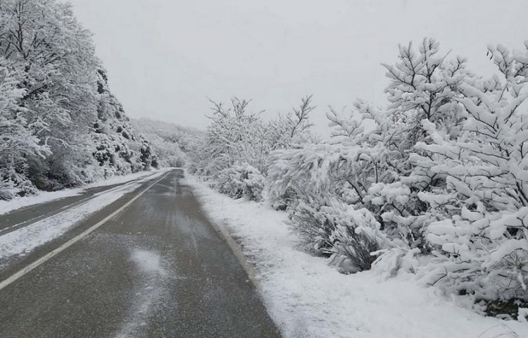 (Φωτ.: ΑΠΕ-ΜΠΕ / Γιώργος Παλαμιώτης)