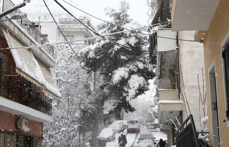 (Φωτ.: ΑΠΕ-ΜΠΕ / Γεωργία Παναγοπούλου)