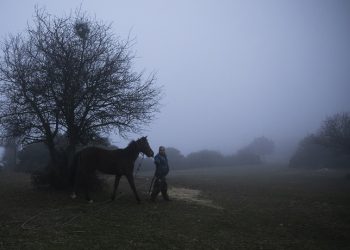 (Φωτ.: ΑΠΕ-ΜΠΕ / Δημήτρης Τοσίδης)