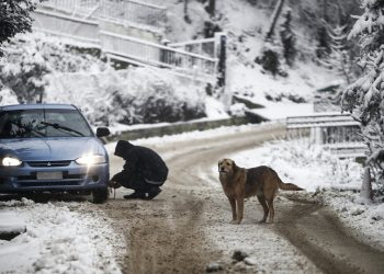 (Φωτ.: ΑΠΕ-ΜΠΕ / Δημήτρης Τοσίδης)