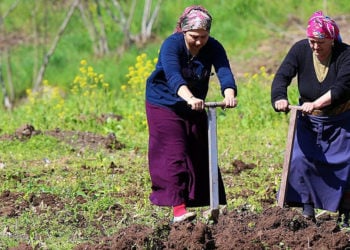 (Φωτ.: Facebook / Trabzon Yemekler-Coğrafya-Kültür)