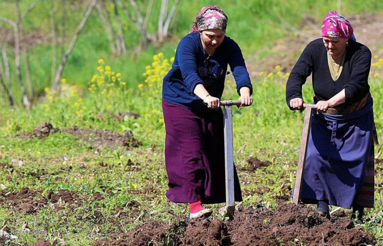 (Φωτ.: Facebook / Trabzon Yemekler-Coğrafya-Kültür)