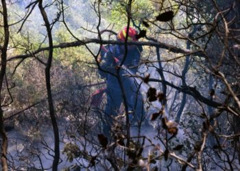 Πυροσβέστης επιχειρεί στην κατάσβεση της πυρκαγιάς στην περιοχή των Γερανείων, κοντά στον Σχίνο Λουτρακίου (φωτ.: ΑΠΕ-ΜΠΕ /Βασίλης Ψωμάς)