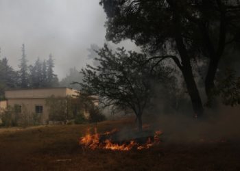 Φωτιά καίει δίπλα από την αυλή κατοικίας στη Σταμάτα, Αττικής (φωτ.: ΑΠΕ-ΜΠΕ/Γιάννης Κολεσίδης)