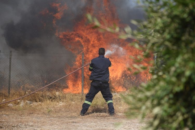 Πυροσβέστες επιχειρούν για την κατάσβεση της πυρκαγιάς σε αγροτοδασική έκταση σε περιοχή του νομού Αχαΐας (φωτ.: ΑΠΕ-ΜΠΕ / Γιώτα Λοτσάρη)