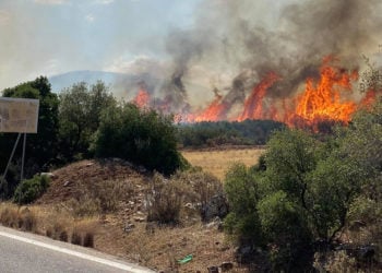 (Φωτ.: ΑΠΕ-ΜΠΕ / Ευάγγελος Μπουγιώτης)