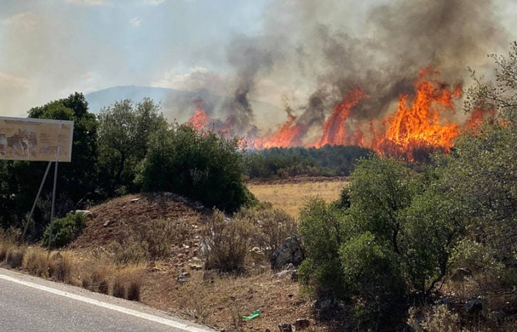 (Φωτ.: ΑΠΕ-ΜΠΕ / Ευάγγελος Μπουγιώτης)